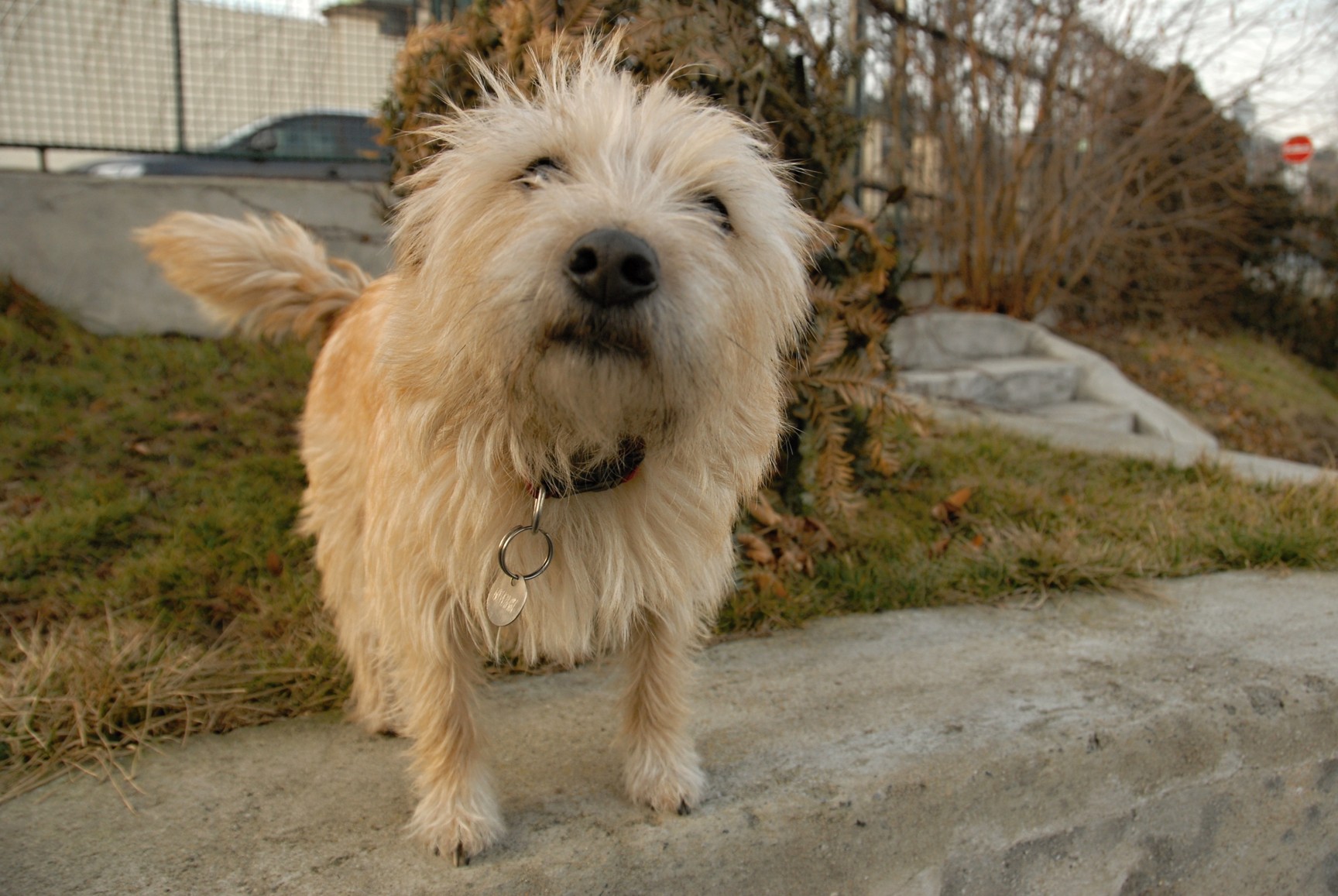 CAL 2012 unor schuzky 07